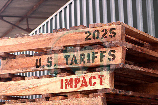 Import Tariffs