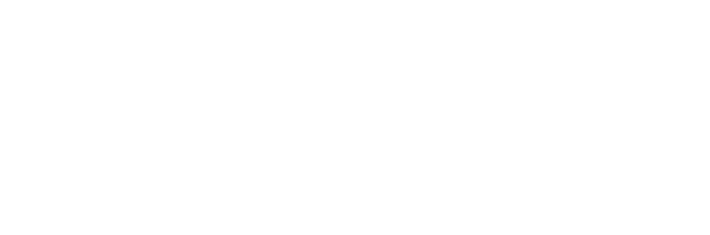 Connexio Logo White